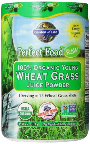 0794628229430 - GARDEN OF LIFE PERFECT FOOD® RAW - 100% ORGANIC YOUNG WHEAT GRASS JUICE POWDER, 120G POWDER