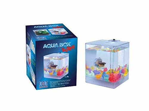0795151251776 - PERFECT NEW AA AQUA BOX BETTA FISH TANK AQUARIUM 1.3L CUBE SHAPE