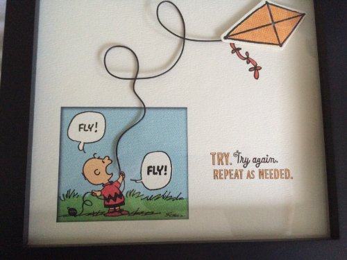 0795902356453 - PEANUTS CHARLIE BROWN FLYING KITE TRY. TRY AGAIN, REPEAT AS NEEDED.8X8 WALL PLAQUE WITH GLASS AND 3D KITESTRING