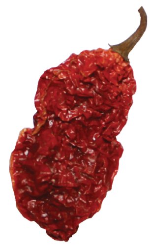 0796762848522 - 10 WHOLE GHOST PEPPER DRIED INTACT SEED PODS +2 FREE! SUPER HOT WICKED TICKLE