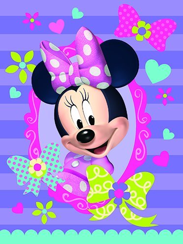 0798154847830 - THE NORTHWEST COMPANY DISNEY'S MINNIE MOUSE BOW-TIQUE SUPER PLUSH THROW, 46 BY 60-INCH