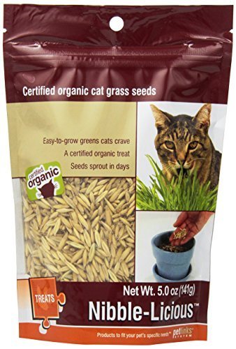 0799457428207 - PETLINKS NIBBLE-LICIOUS CAT GRASS SEEDS 5 OZ BY PETLINKS