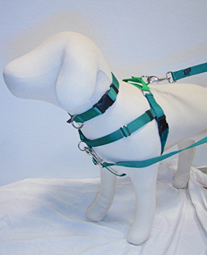 0799914800447 - PACKAGE: FREEDOM NO PULL HARNESS, TRAINING LEASH AND COLLAR - DIRECT FROM INVENTOR (KELLY GREEN W/NEON GREEN LOOP, MEDIUM 1 WIDE (FITS GIRTH 22-27/NECK 13-17))