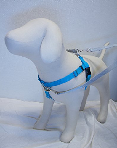 0799934753051 - 1 WIDE MEDIUM (MD) FREEDOM NO-PULL HARNESS AND TRAINING LEASH (TURQUOISE W/SILVER LOOP)- DIRECT FROM INVENTOR