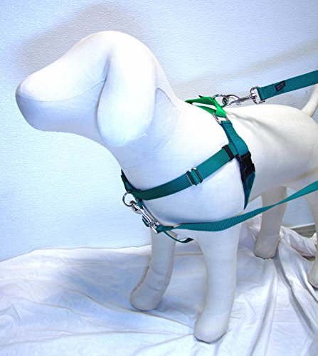 0799961623006 - 1 WIDE MEDIUM (22-28) FREEDOM NO-PULL HARNESS ONLY, AVAILABLE IN 18 COLORS - DIRECT FROM INVENTOR (KELLY GREEN W/NEON GREEN LOOPE)
