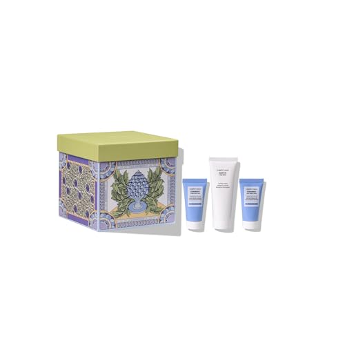 8004608521617 - GIFT COLLECTION: YOUNG KIT, A CLEANSING HYDRATING FACE SET, INCLUDES HYDRAMEMORY HYDRA PLUMP MASK, ESSENTIAL FACE WASH, AND HYDRAMEMORY LIGHT SORBET CREAM | 3-PIECE