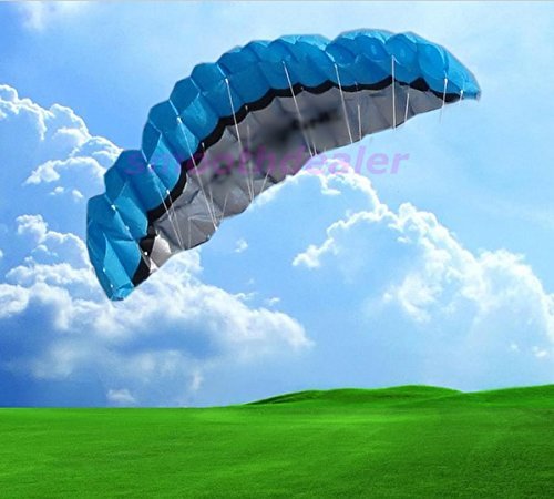 0802469563221 - 4 COLORS 2.5M POWER DUAL LINE PARAFOIL PARACHUTE SPORTS BEACH KITE EASY TO FLY