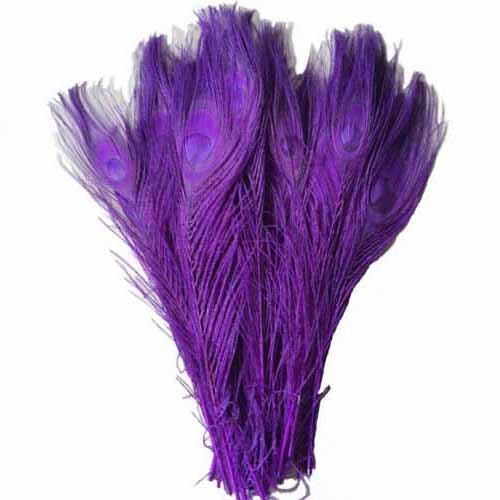 0802571458965 - 10 - 100 PCS BEAUTIFUL PEACOCK FEATHERS DYED 16 COLORS NATURAL PEACOCK FEATHERS 10 - 12 INCHES/25 – 30 CM. (10 PCS, DEEP PURPLE)
