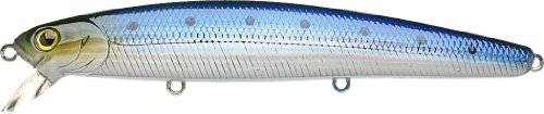 0802897057149 - LUCKY CRAFT FISHING LURE CIF FLASH MINNOW 110 CALIFORNIA INSHORE FISHING, 4-1/2-