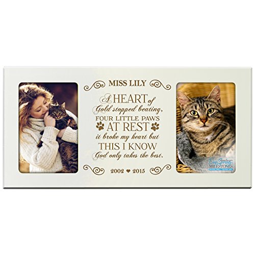 0803422670987 - PERSONALIZED PET MEMORIAL GIFT, SYMPATHY PHOTO FRAME, A HEART OF GOLD STOPPED BEATING FOUR LITTLE PAWS AT REST, CUSTOM FRAME BY DAYSPRING MILESTONES USA MADE HOLDS TWO 4X6 PHOTOS (IVORY)