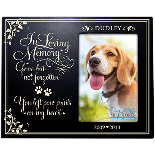 0803422671106 - PERSONALIZED PET MEMORIAL GIFT, SYMPATHY PHOTO FRAME, IN LOVING MEMORY GONE BUT NOT FORGOTTEN YOU LEFT PAW PRINTS ON MY HEART CUSTOM FRAME BY DAYSPRING MILESTONES USA MADE HOLDS 4X6 PHOTO