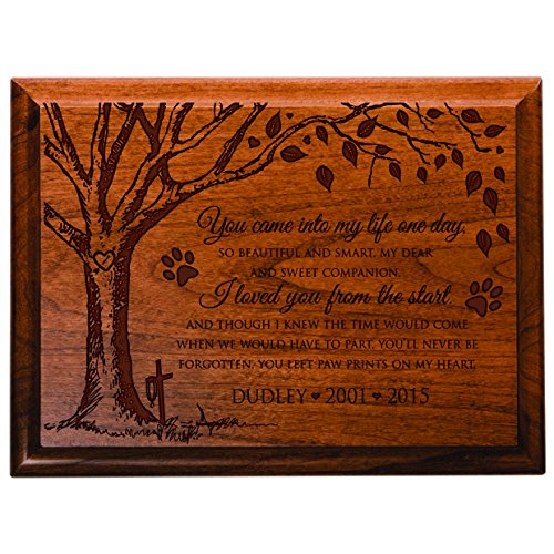 0803422678426 - PERSONALIZED PET MEMORIAL GIFT, SYMPATHY WALL PLAQUE, YOU CAME INTO MY LIFE ONE DAY SO BEAUTIFUL AND SMART, CUSTOM ENGRAVED PLAQUE MEASURES 6X8 BY DAYSPRING MILESTONE USA MADE (CHERRY HARDWOOD)