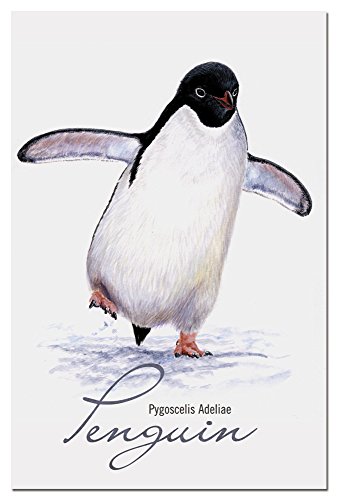 0805866667172 - TREE-FREE GREETINGS ECONOTES 12-COUNT NOTECARD SET WITH ENVELOPES, 4 X 6 INCHES, ADELIE PENGUIN THEMED WILDLIFE ART