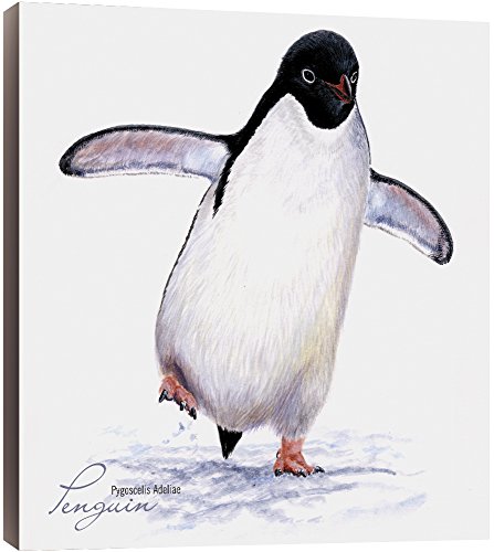 0805866857177 - TREE-FREE GREETINGS ECOART HOME DECOR WALL PLAQUE, 11.25 X 11.25 INCHES, ADELIE PENGUIN THEMED WILDLIFE ART