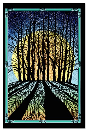 0805866934533 - TREE-FREE GREETINGS 12-COUNT WINTER SOLSTICE CARD SET WITH ENVELOPES, 4 X 6, CELTIC VERSE