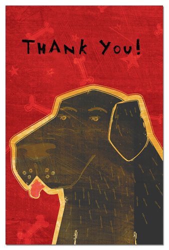 0805866945782 - TREE-FREE GREETINGS ECO-NOTES THANK YOU CARD SET, 4 X 6 INCHES, 12-COUNT CARDS WITH ENVELOPES, GOLDEN RETRIEVER