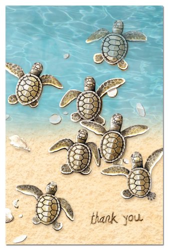 0805866946109 - TREE-FREE GREETINGS 94610 ECONOTES THANK YOU CARD SET, 4 X 6 INCHES, 12 COUNT CARDS WITH ENVELOPES, BABY TURTLE