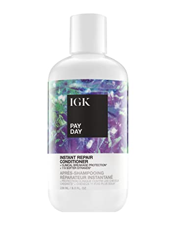 0810021403137 - IGK PAY DAY INSTANT REPAIR CONDITIONER, 8 OZ.