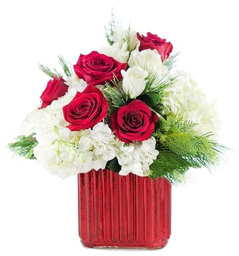 0810022323083 - KABLOOM PRIME NEXT DAY DELIVERY - HOLIDAY COLLECTION: WINTER KISSES AND ROSES WITH VASE (FLOWERS FOR DELIVERY PRIME) GIFT FOR BIRTHDAY, ANNIVERSARY, GET WELL, THANK YOU, VALENTINE, MOTHER’S DAY FLOWER