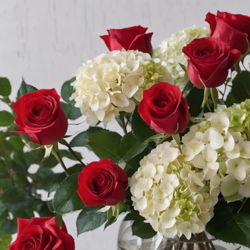 0810022323175 - KABLOOM PRIME NEXT DAY DELIVERY - HOLIDAY COLLECTION: 6 RED ROSE AND 2 WHITE HYDRANGEAS (DELIVERY PRIME) GIFT FOR BIRTHDAY, SYMPATHY, ANNIVERSARY, GET WELL, THANK YOU, VALENTINE, MOTHER’S DAY FLOWERS