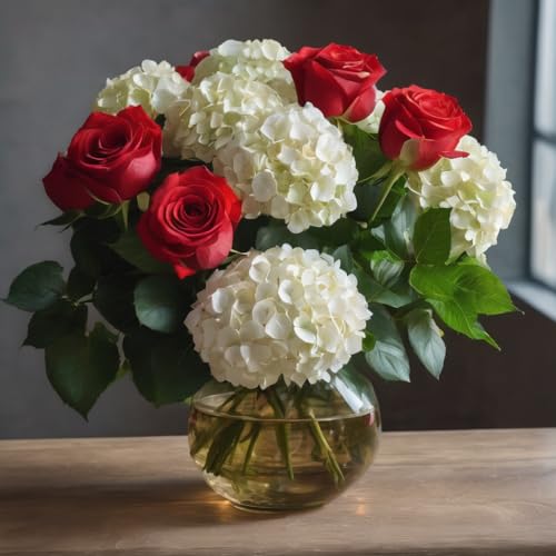 0810022323182 - KABLOOM PRIME NEXT DAY DELIVERY - HOLIDAY COLLECTION: 6 RED ROSE AND 2 WHITE HYDRANGEAS WITH VASE (DELIVERY PRIME) GIFT FOR BIRTHDAY, ANNIVERSARY, GET WELL, THANK YOU, VALENTINE, MOTHER’S DAY FLOWERS