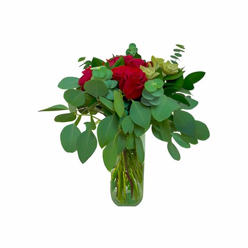 0810022323199 - KABLOOM PRIME NEXT DAY DELIVERY - MAFADI COLLECTION - SUCCULANT ROSE BOUQUET (FRESH FLOWERS FOR DELIVERY PRIME) GIFT FOR BIRTHDAY, SYMPATHY, ANNIVERSARY, THANK YOU, VALENTINE, MOTHER’S DAY FLOWERS