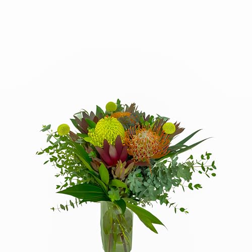 0810022323229 - KABLOOM PRIME NEXT DAY DELIVERY - MAFADI COLLECTION - PINS & NEEDLES BOUQUET (FRESH FLOWERS FOR DELIVERY PRIME) GIFT FOR BIRTHDAY, SYMPATHY, ANNIVERSARY, THANK YOU, VALENTINE, MOTHER’S DAY FLOWERS