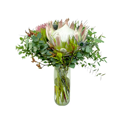 0810022323236 - KABLOOM PRIME NEXT DAY DELIVERY - MAFADI COLLECTION - EXOTIC BLOOMS BOUQUET (FRESH FLOWERS FOR DELIVERY PRIME) GIFT FOR BIRTHDAY, SYMPATHY, ANNIVERSARY, THANK YOU, VALENTINE, MOTHER’S DAY FLOWERS