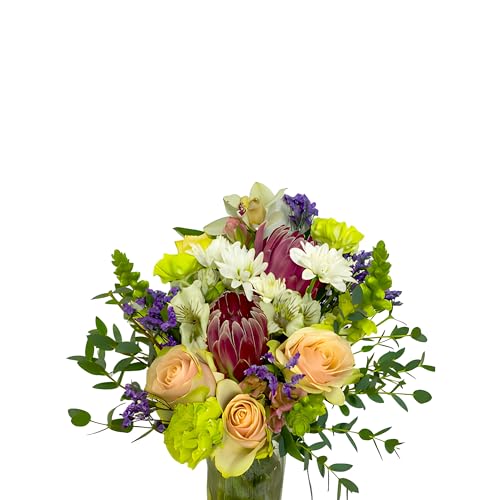 0810022323274 - KABLOOM PRIME NEXT DAY DELIVERY - MAFADI COLLECTION - PRETTY IN PINK BOUQUET (FRESH FLOWERS FOR DELIVERY PRIME) GIFT FOR BIRTHDAY, SYMPATHY, ANNIVERSARY, THANK YOU, VALENTINE, MOTHER’S DAY FLOWERS
