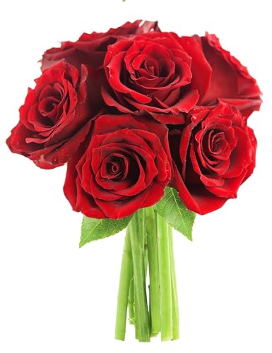 0810022323847 - KABLOOM PRIME NEXT DAY DELIVERY : VALENTINES DAY COLLECTION - BOUQUET OF 6 RED ROSES GIFT FOR BIRTHDAY, SYMPATHY, ANNIVERSARY, GET WELL, THANK YOU, VALENTINE, MOTHER’S DAY FLOWERS