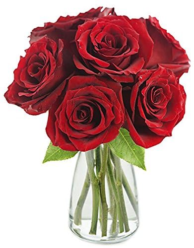 0810022323854 - KABLOOM PRIME NEXT DAY DELIVERY : VALENTINES DAY COLLECTION - BOUQUET OF 6 RED ROSES WITH VASE GIFT FOR BIRTHDAY, SYMPATHY, ANNIVERSARY, GET WELL, THANK YOU, VALENTINE, MOTHER’S DAY FLOWERS