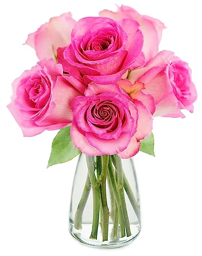 0810022323878 - KABLOOM PRIME NEXT DAY DELIVERY : VALENTINES DAY COLLECTION - BOUQUET OF 6 PINK ROSES WITH VASE GIFT FOR BIRTHDAY, SYMPATHY, ANNIVERSARY, GET WELL, THANK YOU, VALENTINE, MOTHER’S DAY FLOWERS