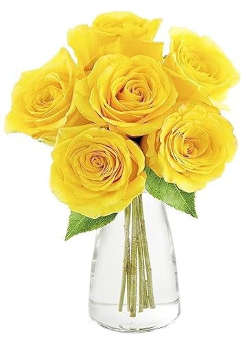 0810022323915 - KABLOOM PRIME NEXT DAY DELIVERY : VALENTINES DAY COLLECTION - BOUQUET OF 6 YELLOW ROSES WITH VASE GIFT FOR BIRTHDAY, SYMPATHY, ANNIVERSARY, GET WELL, THANK YOU, VALENTINE, MOTHER’S DAY FLOWERS