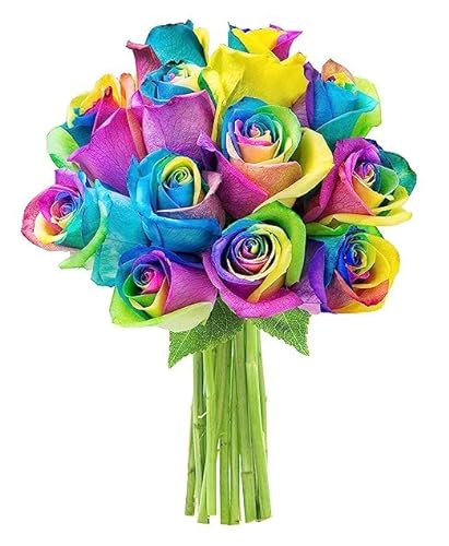 0810022324103 - KABLOOM PRIME NEXT DAY DELIVERY : VALENTINES DAY COLLECTION - BOUQUET OF 12 RAINBOW ROSES GIFT FOR BIRTHDAY, SYMPATHY, ANNIVERSARY, GET WELL, THANK YOU, VALENTINE, MOTHER’S DAY FLOWERS