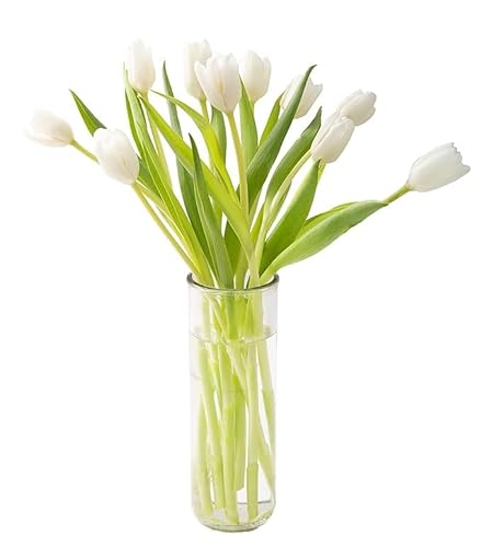 0810022324851 - KABLOOM PRIME NEXT DAY DELIVERY : VALENTINES DAY COLLECTION - BOUQUET OF 10 WHITE TULIPS WITH VASE GIFT FOR BIRTHDAY, SYMPATHY, ANNIVERSARY, GET WELL, THANK YOU, VALENTINE, MOTHER’S DAY FLOWERS