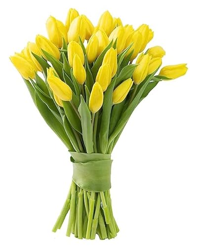 0810022324868 - KABLOOM PRIME NEXT DAY DELIVERY : VALENTINES DAY COLLECTION - BOUQUET OF 10 YELLOW TULIPS GIFT FOR BIRTHDAY, SYMPATHY, ANNIVERSARY, GET WELL, THANK YOU, VALENTINE, MOTHER’S DAY FLOWERS