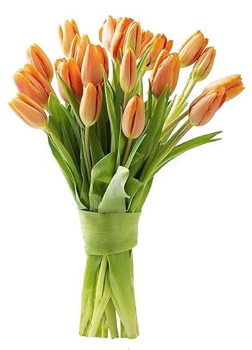 0810022324882 - KABLOOM PRIME NEXT DAY DELIVERY : VALENTINES DAY COLLECTION - BOUQUET OF 10 ORANGE TULIPS GIFT FOR BIRTHDAY, SYMPATHY, ANNIVERSARY, GET WELL, THANK YOU, VALENTINE, MOTHER’S DAY FLOWERS