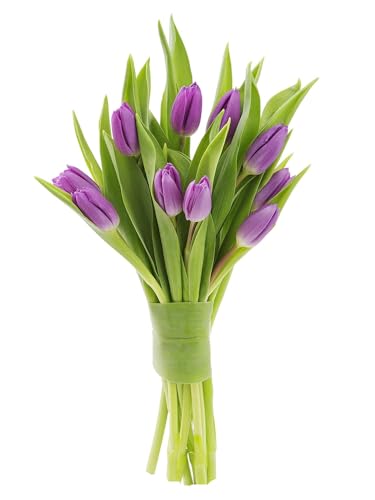 0810022324905 - KABLOOM PRIME NEXT DAY DELIVERY : VALENTINES DAY COLLECTION - BOUQUET OF 10 PURPLE TULIPS GIFT FOR BIRTHDAY, SYMPATHY, ANNIVERSARY, GET WELL, THANK YOU, VALENTINE, MOTHER’S DAY FLOWERS
