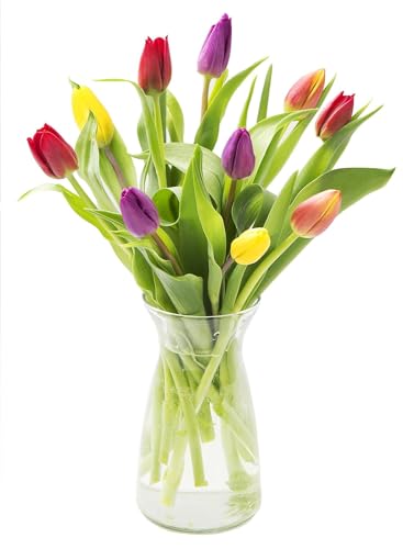 0810022324936 - KABLOOM PRIME NEXT DAY DELIVERY : VALENTINES DAY COLLECTION - BOUQUET OF 10 ASSORTED TULIPS WITH VASE GIFT FOR BIRTHDAY, SYMPATHY, ANNIVERSARY, GET WELL, THANK YOU, VALENTINE, MOTHER’S DAY FLOWERS