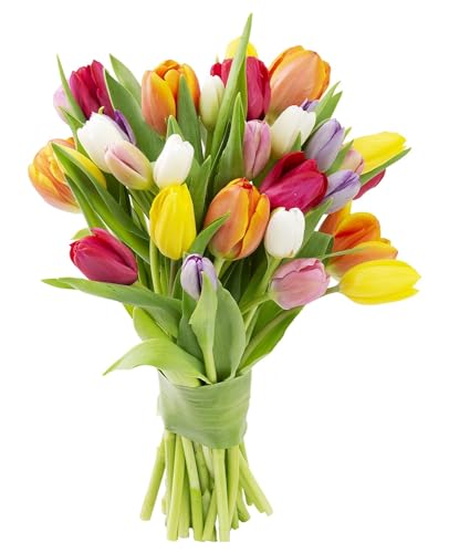 0810022325063 - KABLOOM PRIME NEXT DAY DELIVERY : VALENTINES DAY COLLECTION - BOUQUET OF 20 ASSORTED TULIPS GIFT FOR BIRTHDAY, SYMPATHY, ANNIVERSARY, GET WELL, THANK YOU, VALENTINE, MOTHER’S DAY FLOWERS