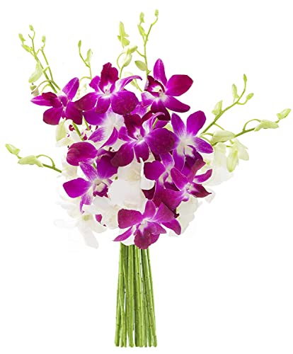 0810022325339 - KABLOOM PRIME NEXT DAY DELIVERY : VALENTINES DAY COLLECTION - THE HAPPY ORCHID ORCHID BOUQUET GIFT FOR BIRTHDAY, SYMPATHY, ANNIVERSARY, GET WELL, THANK YOU, VALENTINE, MOTHER’S DAY FLOWERS