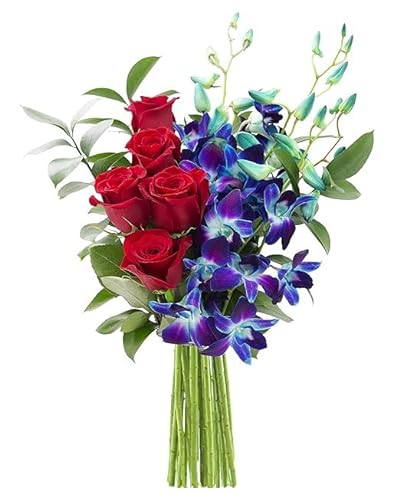 0810022325391 - KABLOOM PRIME NEXT DAY DELIVERY : VALENTINES DAY COLLECTION - BOUQUET OF RED ROSES AND BLUE ORCHID FLOWERS GIFT FOR SYMPATHY, ANNIVERSARY, GET WELL, THANK YOU, VALENTINE, MOTHER’S DAY FLOWERS