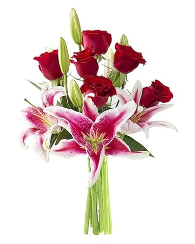0810022325575 - KABLOOM PRIME NEXT DAY DELIVERY : VALENTINES DAY COLLECTION - BOUQUET OF FARM-FRESH RED ROSES AND PINK LILIES GIFT FOR SYMPATHY, ANNIVERSARY, GET WELL, THANK YOU, VALENTINE, MOTHER’S DAY FLOWERS