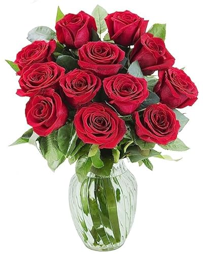0810022325728 - KABLOOM PRIME NEXT DAY DELIVERY : HIMALAYA COLLECTION - SERENE BOUQUET OF 12 RED ROSES WITH VASE GIFT FOR BIRTHDAY, SYMPATHY, ANNIVERSARY, GET WELL, THANK YOU, VALENTINE, MOTHER’S DAY FLOWERS