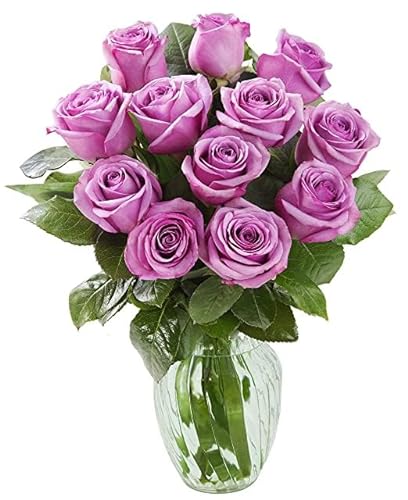 0810022325827 - KABLOOM PRIME NEXT DAY DELIVERY : HIMALAYA COLLECTION - SERENE BOUQUET OF 12 PURPLE ROSES WITH VASE GIFT FOR BIRTHDAY, SYMPATHY, ANNIVERSARY, GET WELL, THANK YOU, VALENTINE, MOTHER’S DAY FLOWERS