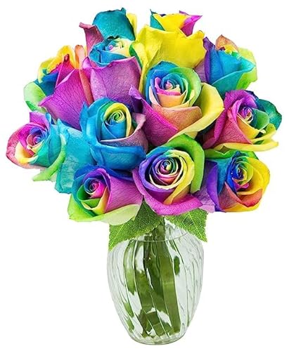 0810022325841 - KABLOOM PRIME NEXT DAY DELIVERY : HIMALAYA COLLECTION - SERENE BOUQUET OF 12 RAINBOW ROSES WITH VASE GIFT FOR BIRTHDAY, SYMPATHY, ANNIVERSARY, GET WELL, THANK YOU, VALENTINE, MOTHER’S DAY FLOWERS