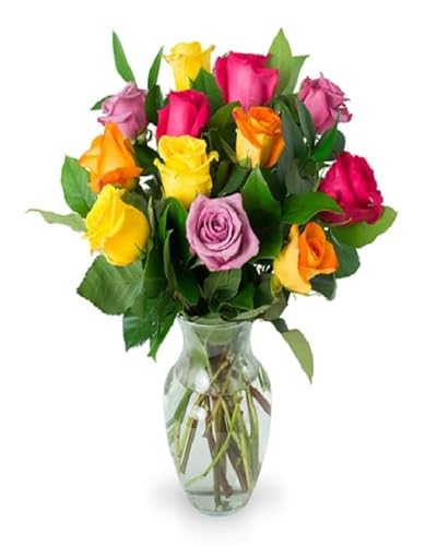 0810022325865 - KABLOOM PRIME NEXT DAY DELIVERY : HIMALAYA COLLECTION - SERENE BOUQUET OF 12 ASSORTED ROSES WITH VASE GIFT FOR BIRTHDAY, SYMPATHY, ANNIVERSARY, GET WELL, THANK YOU, VALENTINE, MOTHER’S DAY FLOWERS