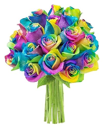 0810022325933 - KABLOOM PRIME NEXT DAY DELIVERY : HIMALAYA COLLECTION - TRANQUIL FRESH CUT 24 RAINBOW ROSES GIFT FOR BIRTHDAY, SYMPATHY, ANNIVERSARY, GET WELL, THANK YOU, VALENTINE, MOTHER’S DAY