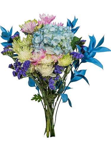 0810022326695 - KABLOOM PRIME NEXT DAY DELIVERY - PRONTO COLLECTION : 1 HYDRANGEA BLUE TINTED, 3 POMPON TINTED LIME GREEN, 3 POMPON TINTED PINK, 3 STATICE PURPLE, 3 RUSCUSGIFT FOR BIRTHDAY, MOTHER’S DAY FRESH FLOWERS