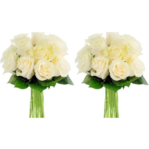 0810022326886 - KABLOOM PRIME NEXT DAY DELIVERY - MOTHERS DAY COLLECTION - 24 STEMS OF WHITE ROSES (CUT-TO-ORDER, AND HOMEGROWN IN THE USA).GIFT FOR MOTHER’S DAY, BIRTHDAY, EASTER, ANNIVERSARY FRESH FLOWERS